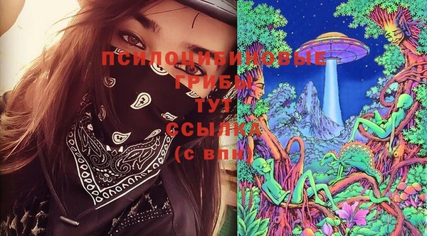 кристаллы Осинники
